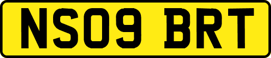 NS09BRT