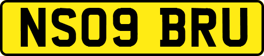 NS09BRU