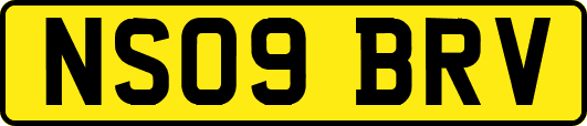 NS09BRV