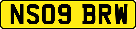 NS09BRW