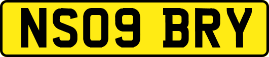 NS09BRY