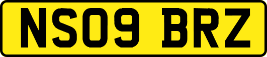 NS09BRZ