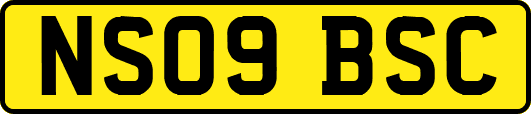 NS09BSC