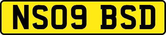 NS09BSD