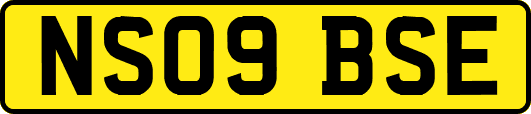 NS09BSE