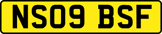 NS09BSF