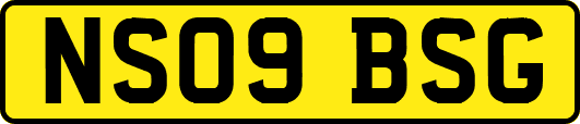 NS09BSG
