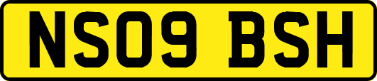 NS09BSH