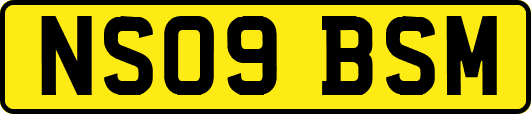 NS09BSM