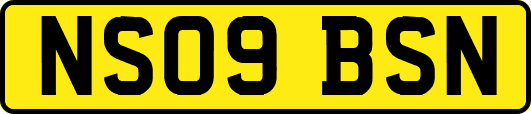 NS09BSN