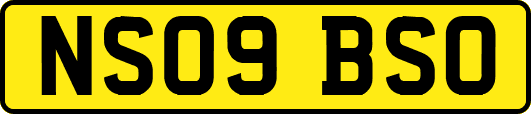 NS09BSO