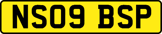 NS09BSP