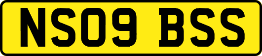 NS09BSS