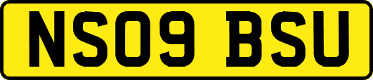 NS09BSU