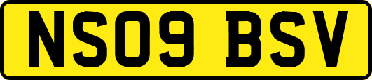 NS09BSV