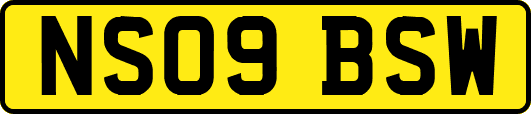NS09BSW
