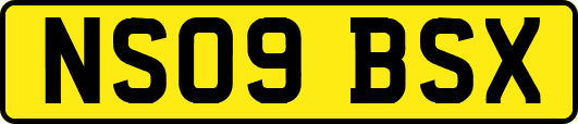 NS09BSX