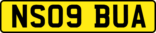 NS09BUA