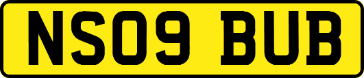 NS09BUB