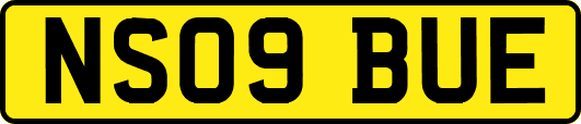 NS09BUE