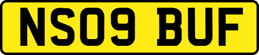 NS09BUF