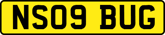 NS09BUG
