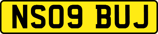 NS09BUJ