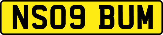 NS09BUM