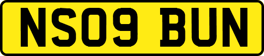 NS09BUN