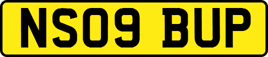 NS09BUP