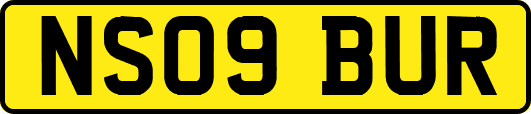 NS09BUR