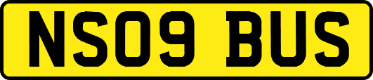 NS09BUS