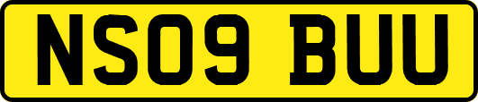 NS09BUU