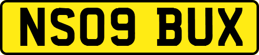 NS09BUX