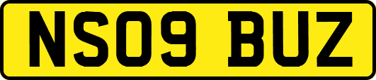 NS09BUZ