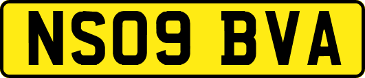 NS09BVA