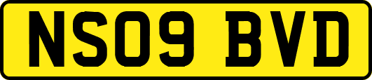 NS09BVD