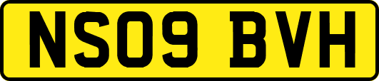 NS09BVH