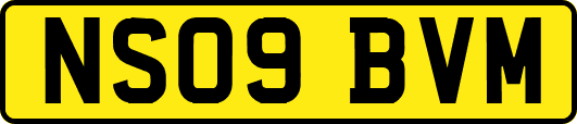 NS09BVM