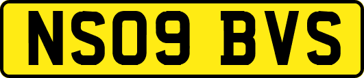NS09BVS