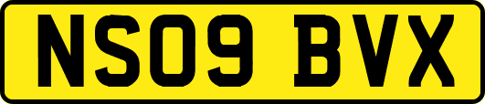 NS09BVX