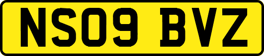 NS09BVZ