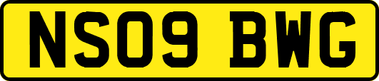 NS09BWG