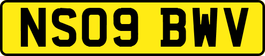 NS09BWV