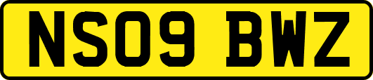 NS09BWZ