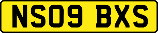 NS09BXS