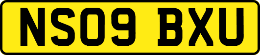 NS09BXU