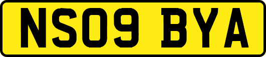 NS09BYA