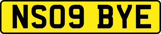 NS09BYE