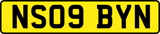 NS09BYN